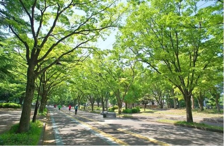 その他環境写真