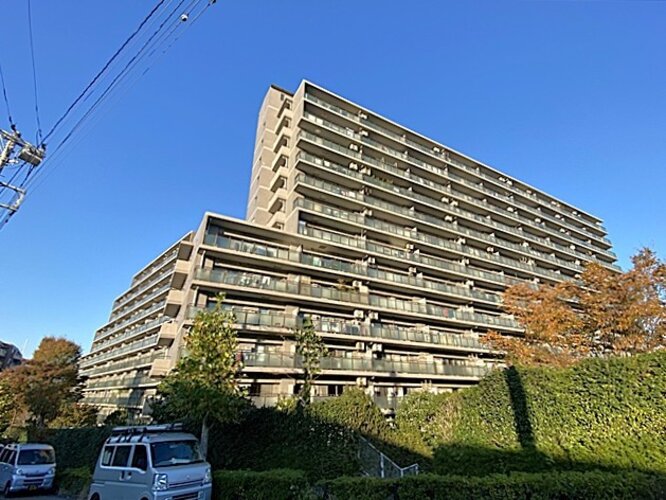 外観 外観