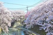 その他環境写真