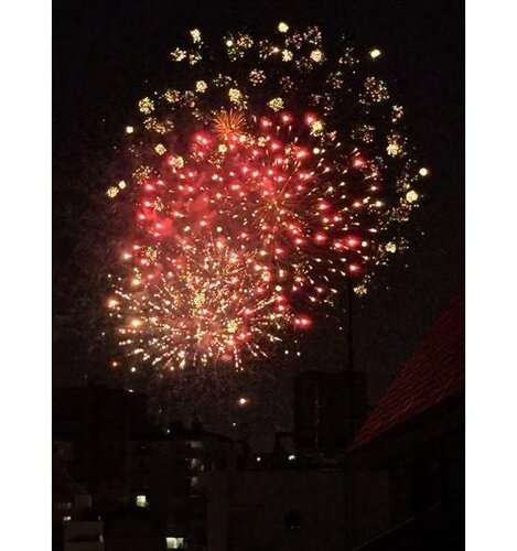 その他現地 その他現地