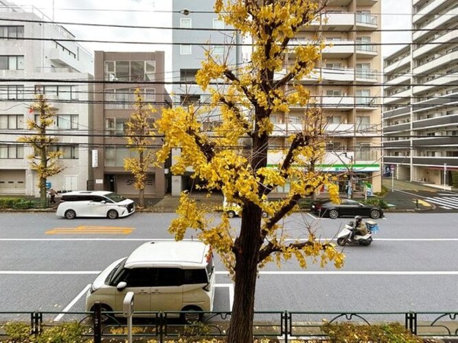 住戸からの眺望写真