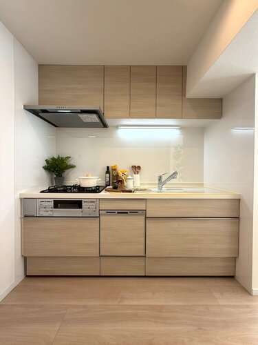 システムキッチン *食器洗い乾燥機・浄水器一体型水栓付き* システムキッチン *食器洗い乾燥機・浄水器一体型水栓付き*