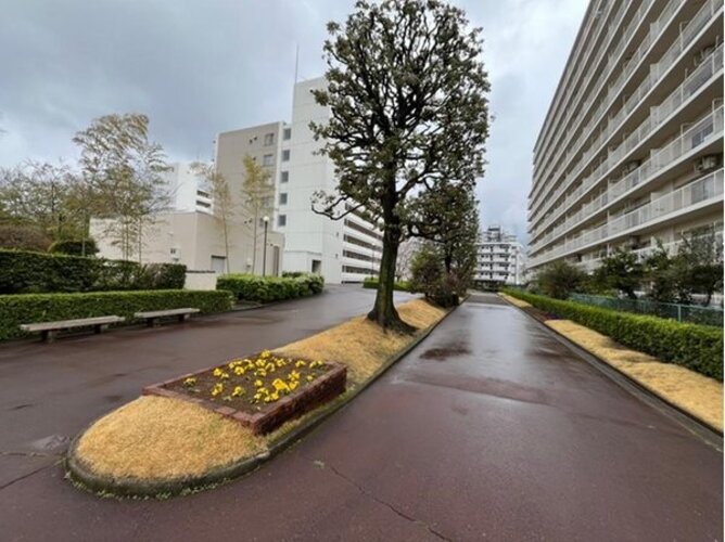現地外観写真