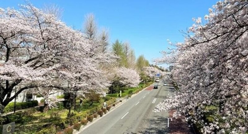 その他環境写真