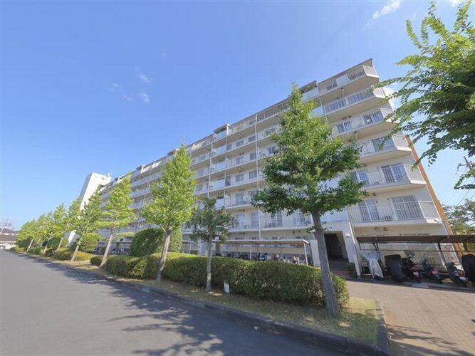 総戸数353戸。趣のある佇まいに合わせて室内をリノベーションしております。 総戸数353戸。趣のある佇まいに合わせて室内をリノベーションしております。