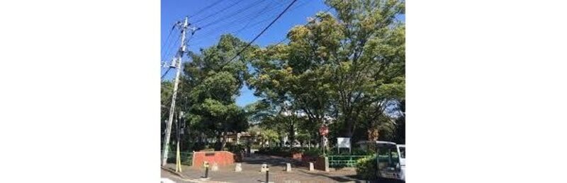 公園 公園