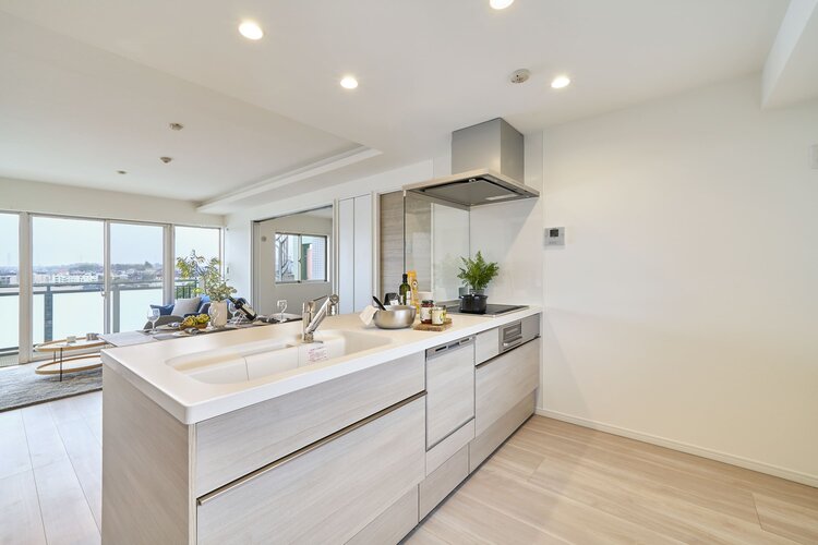 システムキッチン　＊食器洗い乾燥機・浄水器一体型水栓付き＊