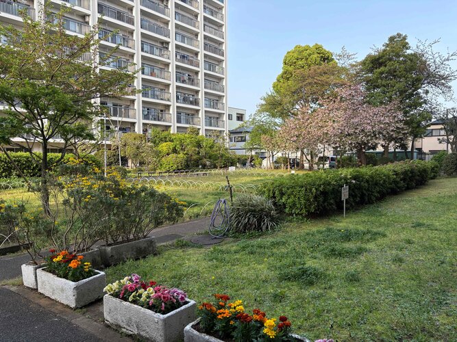 マンション敷地内中庭 マンション敷地内中庭