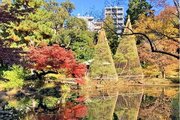 公園 公園
