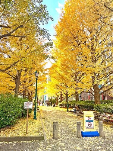 その他環境写真 その他環境写真