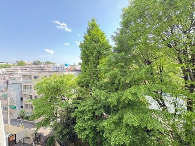 住戸からの眺望写真 住戸からの眺望写真