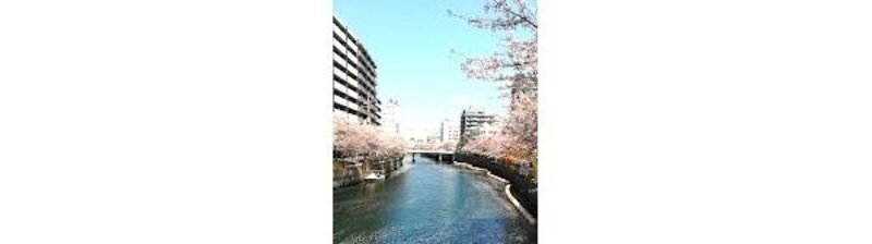 その他環境写真