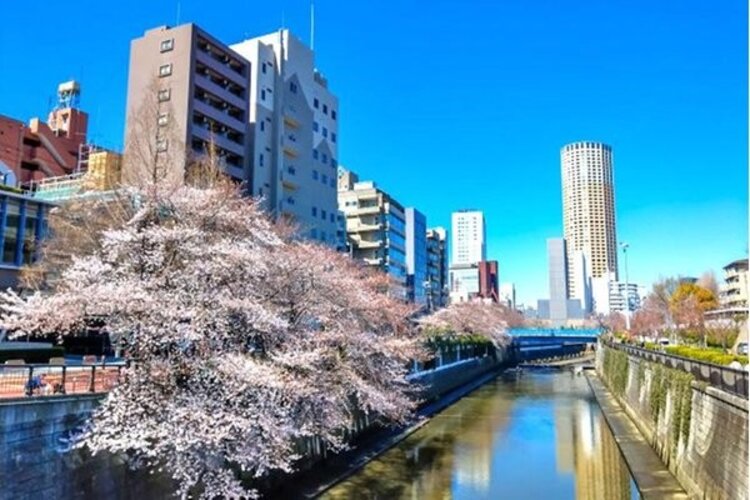 その他環境写真 その他環境写真
