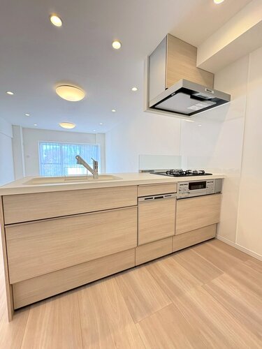 キッチン *食器洗い乾燥機・浄水器一体型水栓付き* キッチン *食器洗い乾燥機・浄水器一体型水栓付き*