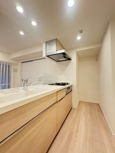 キッチン　食器洗い乾燥機付き