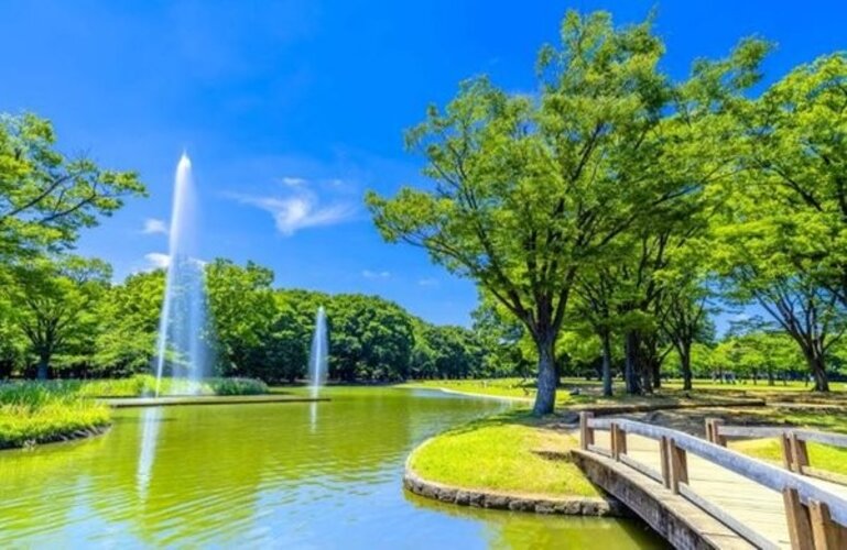 その他環境写真 その他環境写真