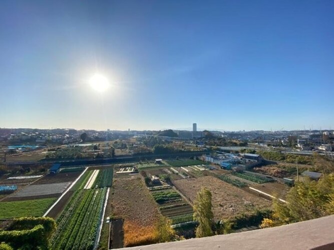 住戸からの眺望写真 住戸からの眺望写真