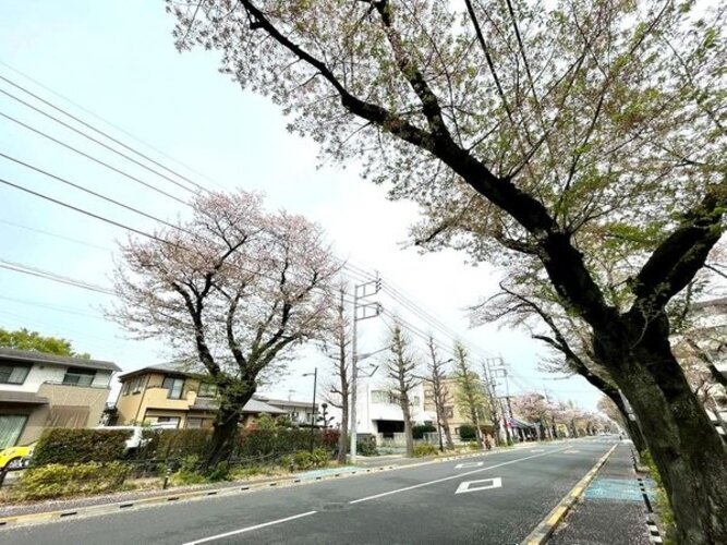その他現地 その他現地