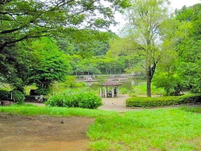 その他環境写真