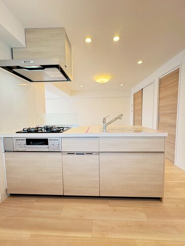 キッチン　＊食器洗い乾燥機・浄水器一体型水栓付き＊