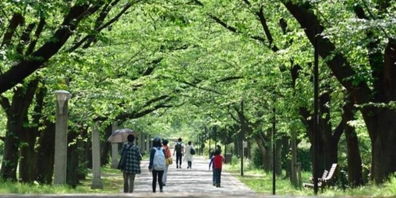 公園