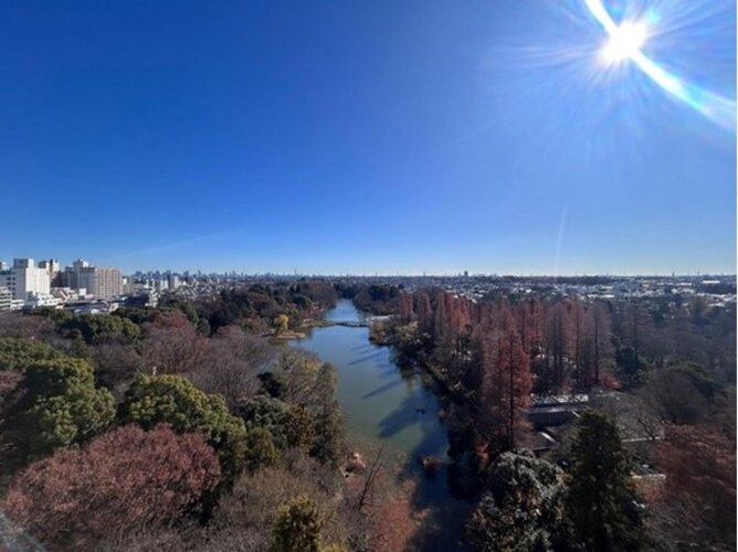 住戸からの眺望写真 住戸からの眺望写真