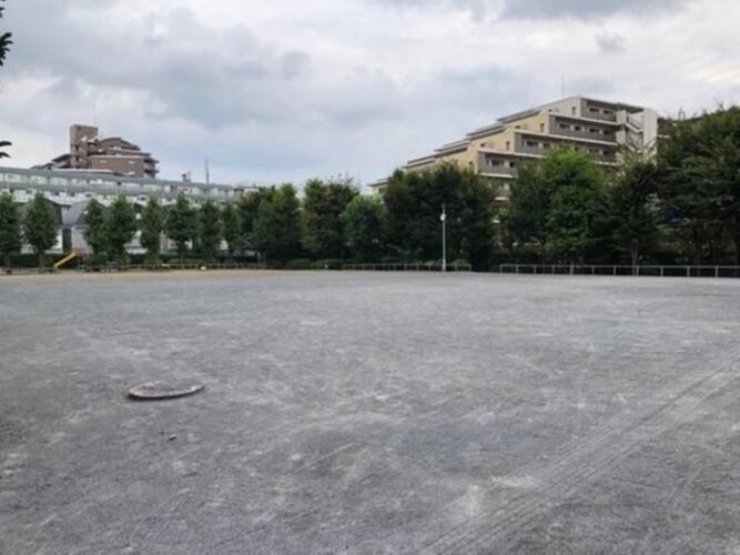 公園 公園