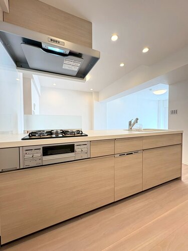 システムキッチン　＊食器洗い乾燥機/浄水器一体型水栓付き＊