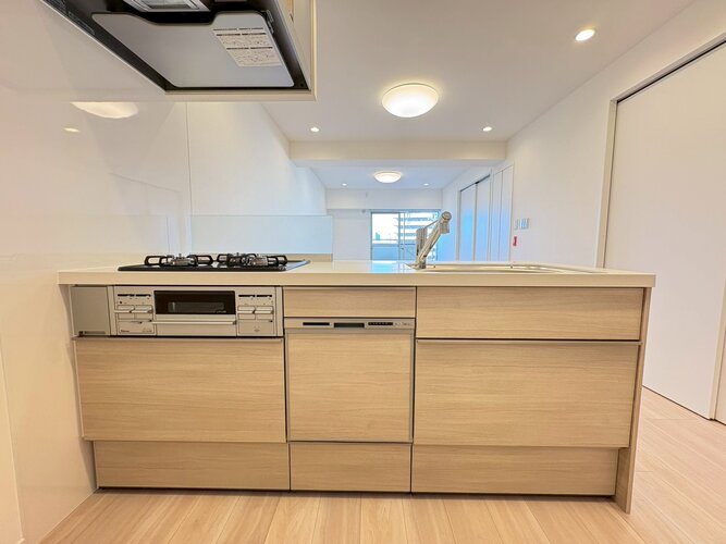 キッチン　＊食器洗い乾燥機・浄水器一体型水栓付き＊