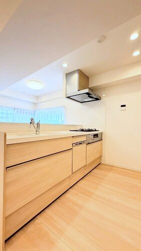 システムキッチン　＊食器洗い乾燥機・浄水器一体型水栓付き＊