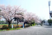 その他環境写真