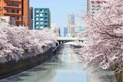 その他環境写真