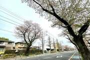その他現地 その他現地