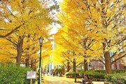 その他環境写真 その他環境写真
