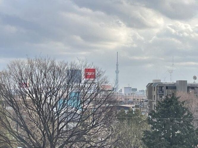 住戸からの眺望写真