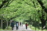 公園