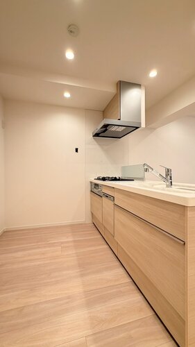 キッチン　＊食器洗い乾燥機・浄水器一体型水栓付き＊