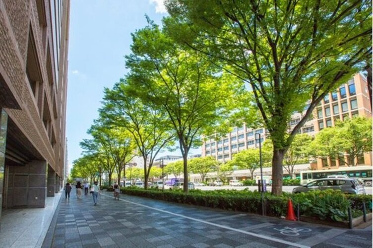 現地外観写真 現地外観写真