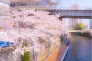 その他環境写真