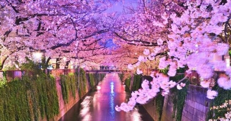 その他環境写真 その他環境写真