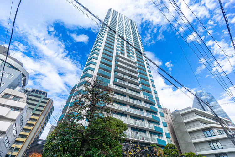 隣接地に同規模のマンションが無い立地です。ペット飼育相談・西新宿五丁目駅まで徒。