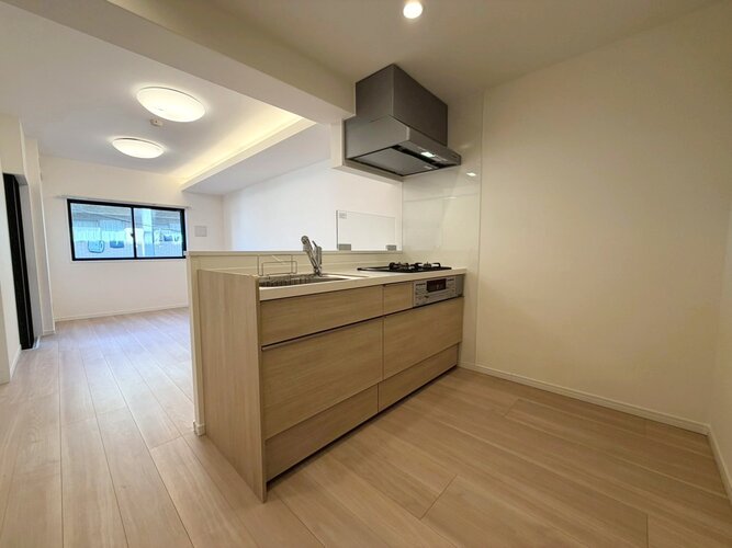 システムキッチン　＊食器洗い乾燥機・浄水器一体型水栓付き＊