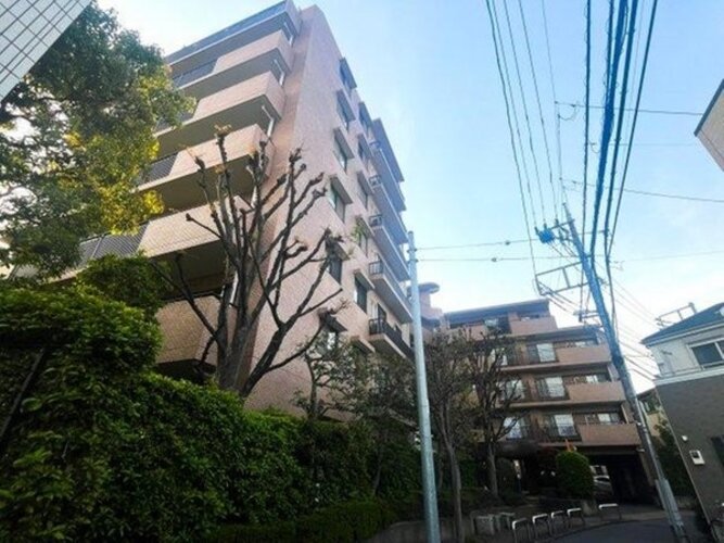 現地外観写真 現地外観写真