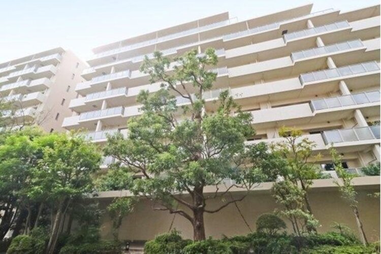 現地外観写真 現地外観写真