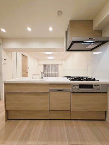 システムキッチン　＊食器洗い乾燥機・浄水器一体型水栓付き＊