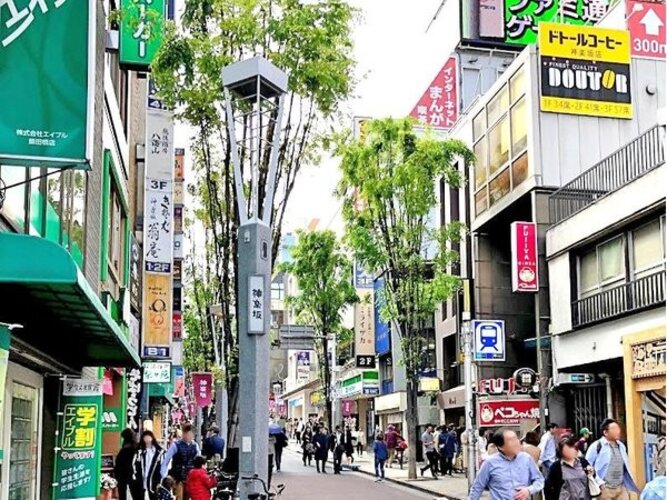 その他環境写真