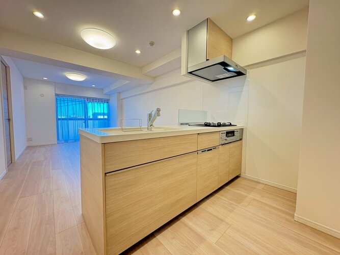 システムキッチン *食器洗い乾燥機・浄水器一体型水栓付き* システムキッチン *食器洗い乾燥機・浄水器一体型水栓付き*