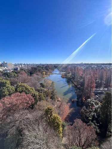 住戸からの眺望写真 住戸からの眺望写真