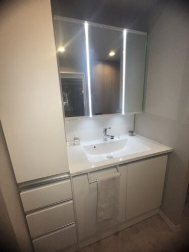 【独立洗面台】ファミール大和八木畝傍苑 