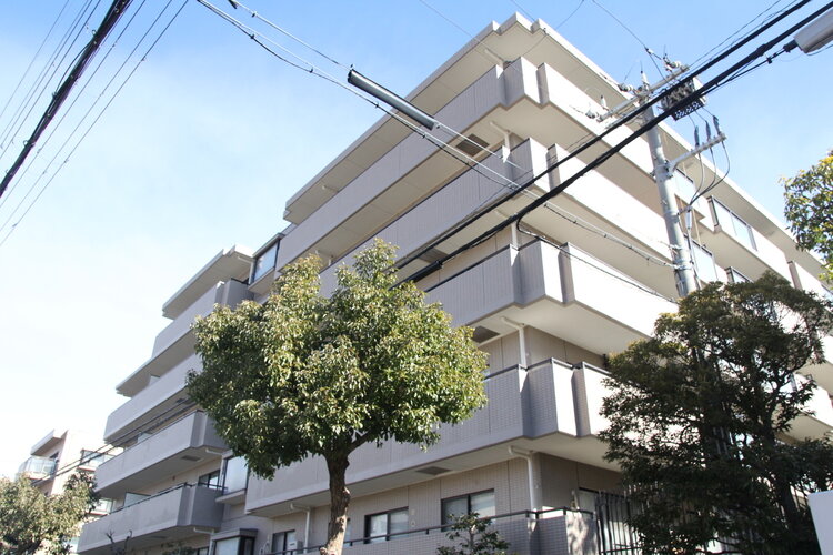 隙のないフォルムを包み込む植栽に囲まれたマンション。綺麗に手入れされております。 隙のないフォルムを包み込む植栽に囲まれたマンション。綺麗に手入れされております。